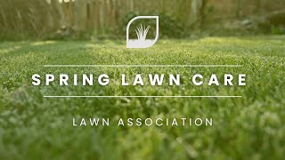 SPRING LAWN CARE | SCARIFICATION EXPERIMENT | MAN VS NATURE | Lawn Association