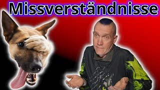 Die 3 größten Missverständnisse zwischen Dir und Deinem Hund - So versteht Ihr Euch besser!