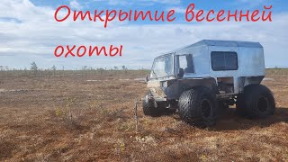 ВЕСЕННЯЯ ОХОТА. ТУЧИ ГУСЯ!!!ГДЕ ЖЕ ВЫ??? Архангельская область.Открытие.