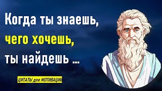 Никогда не опускайте руки! МУДРЫЕ ЦИТАТЫ с глубоким смыслом