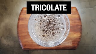 Tricolate - Brew and Review