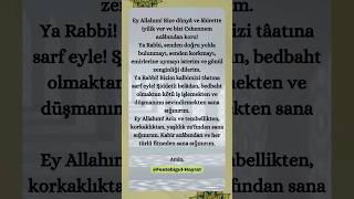 Peygamber Efendimizin Kendisinin Ettiği Dua! #islam #dua #allah #hadis #keşfet