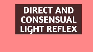 Direct and consensual light reflex/visual reflex