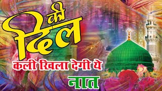 दिल की कली खिला देगी यह नात||Dil Ki Kali Khila Degi Yah Naat|Jumaa Special Naat||Heart Touching Naat