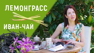 Иван чай с лемонграссом - мой любимый чай!