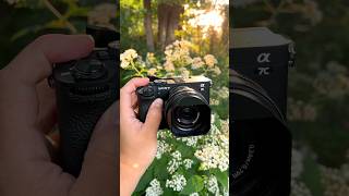 example photos from a compact Sony A7CII setup