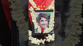 Miss You Hero || Sushant Singh Rajput|| #viralshort #missyou #sushantsingh #rip #viralvideos