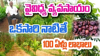 వక్క+ మహాగణి సాగు + అంతర పంటల సేద్యం | Satyanarayana