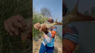 Fishing tips & techniques | triple hook | Singh ka shikaar | #shorts #fishing