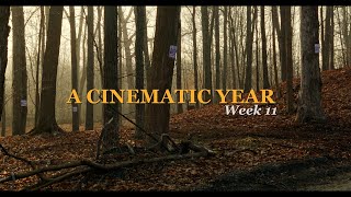 A CINEMATIC YEAR | WEEK 11 | IYOBOSA STUDIOS #lumixs5