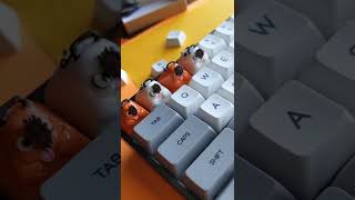 Quiet keycap sound test 🔊 #shorts