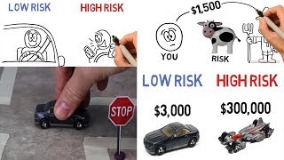 Understanding Risk and Insurance Costs