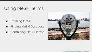 Lavery Library: PubMed Searching: Using MeSH Terms