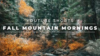 Early Autumn Mornings in the Mountains // YouTube #Shorts