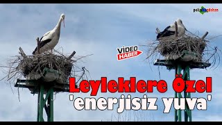 Leyleklere özel 'enerjisiz yuva' #ardahan #ardahanvideo #shorts #shortvideo #leylek