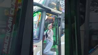 CINEMATIC PARIWISATA BUS TISAL GROUP CHERRY X ASTI  FREE FOOTAGE TERBARU