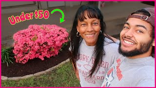 SUPRISE LANDSCAPING MY GRANNY's YARD | Cheap Landscaping under $50 at Lowes