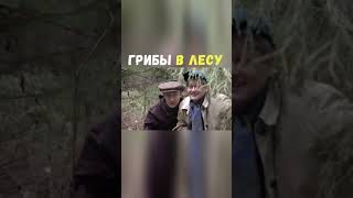 Грибы в Лесу | Приколы Охота Рыбалка Туризм | Тик Ток #Shorts