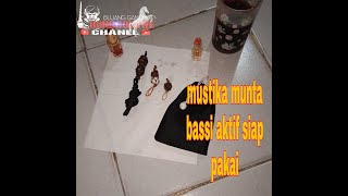 Munta bassi aktif siap pakai https://youtu.be/hF56W7vtdr0