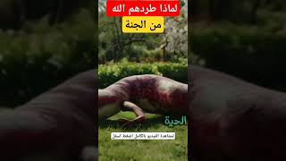 لماذا طرد الله تعالى الثعبان وطائر الطاووس من الجنة!#shortsvideo #حقائق_مدهشة #حكايات_من_القرآن