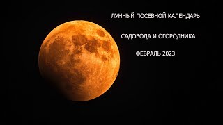 Лунный календарь февраль 2023