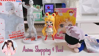 Anime Figurine Shopping & Haul ♡