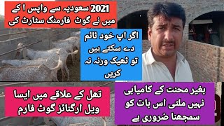 ضلع خوشاب تھل کے علاقے میں ویل ارگنائز گوٹ فارمنگ Well Organize Goat Farming in District Khushab