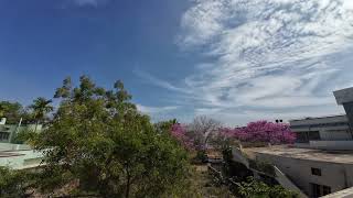 Timelapse of serene scene on a beautiful sunny winter afternoon