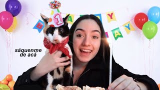 festejando el cumple de mi gata