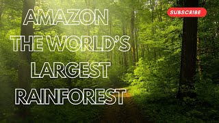 Amazon  The Worlds Largest Tropical Rain forest🌳🌄