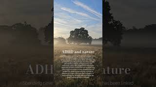 Nature is a blessing for busy minds #adhd #nature #wildlife