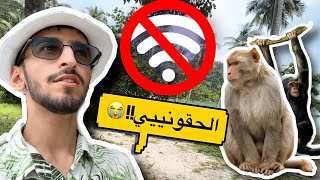 يوم بدون انترنت في جزيرة القردة 🐒😳! | #5 VLOG 🇲🇾