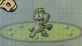 LIVE! Shiny Machop after 9,020 REs!! (Sapphire) (Phase 1)