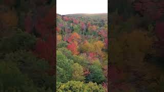 Amazing Landscape🤩 #shortvideo #viral #trending