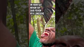 Pohon Sumber pelepas dahaga. #respect #amazingfacts #pohonair