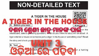 A Tiger in the house unit 3