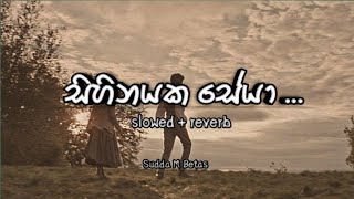 සිහිනයක සේයා 🤗 | slowed and reverb  | #song #love