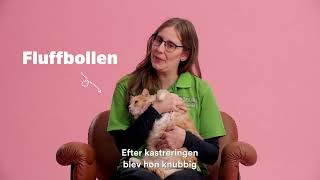 Fluffbollen | Arken Zoo