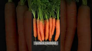 Mrkev Darina #zahrada #zahradnizachranari #mrkev #darina #zelenina #koren #karoten #carrot #zdravi