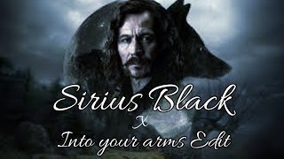 Sirius Black X Into your arms || #SiriusBlack #Harrypotter