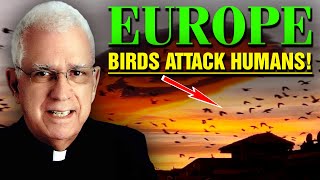 Fr. Oliveira - Sad News For Europe. Be Careful If You Are European. Birds Acts Weird & Attack People