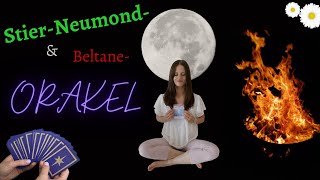 Orakel zum Neumond im Stier & Beltane | 30.04.-01.05. | Tarotkartenlegung | neuer Mondzyklus