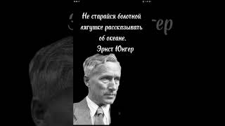 Сильные слова.Океан и болота #сильныеслова #афоризмы #философия #цитатадня #жизнь #высказывания