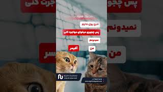 وقتی پول نداری مهاجرت کنی