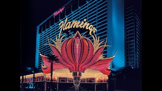 Flamingo Las Vegas Go Mini Suite Room Tour