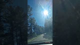 #shortvideo #shorts #short #foryou #forest #arozona #subscribe #subscribers #prescott #travelvlog