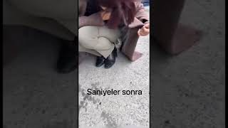 Üşüyen minik kedi