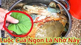 Khi Luộc Cua Biển Chỉ Cần Cho Lá Này Vào Sẽ Ngon Hơn Gấp 10 Lần. Cách Luộc Cua Biển Thơm Ngon