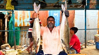 KASIMEDU MINNAL RAJA FISH CUTTING VIDEO / cutting focus