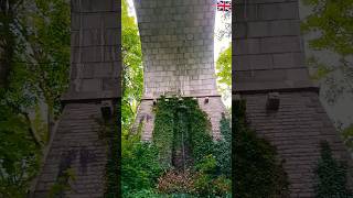 Under the Arch Bridge - Trenance Viaduct, UK 🇬🇧